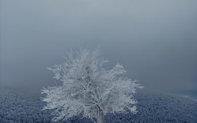 Στιγμές στη Βίγλα