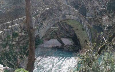 Περιβαλλοντικό Πρόγραμμα στην Κόνιτσα