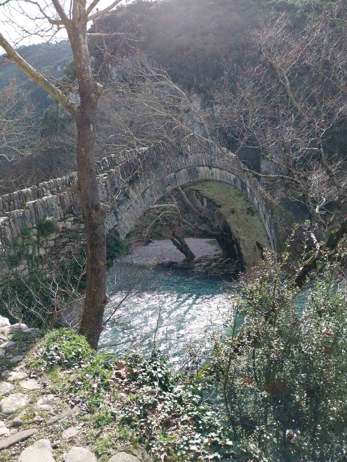 Περιβαλλοντικό Πρόγραμμα στην Κόνιτσα
